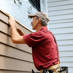 Home Beehive Removal